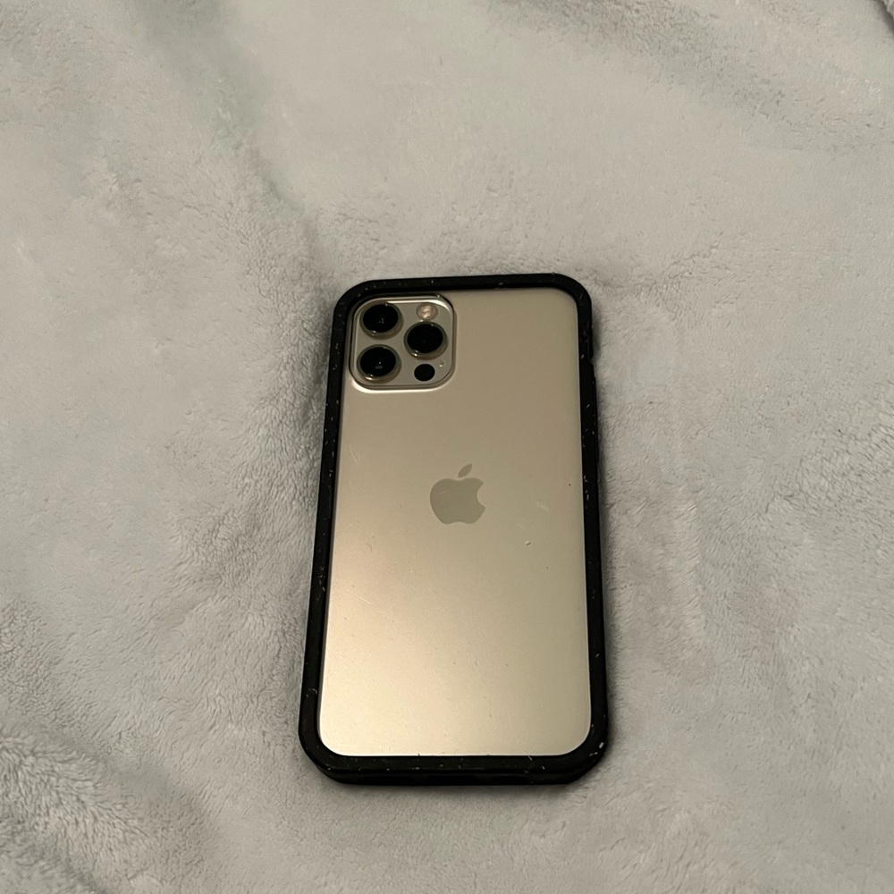 Pre-loved iPhone 12 Pro pela case